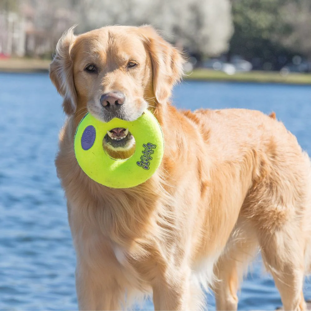 Kong Airdog® Squeaker Donut Large - Image 3
