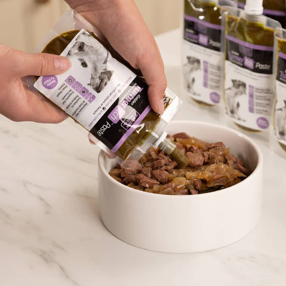 The Golden Paste Co TurmerItch Paste for Dogs & Cats 100g - Image 3