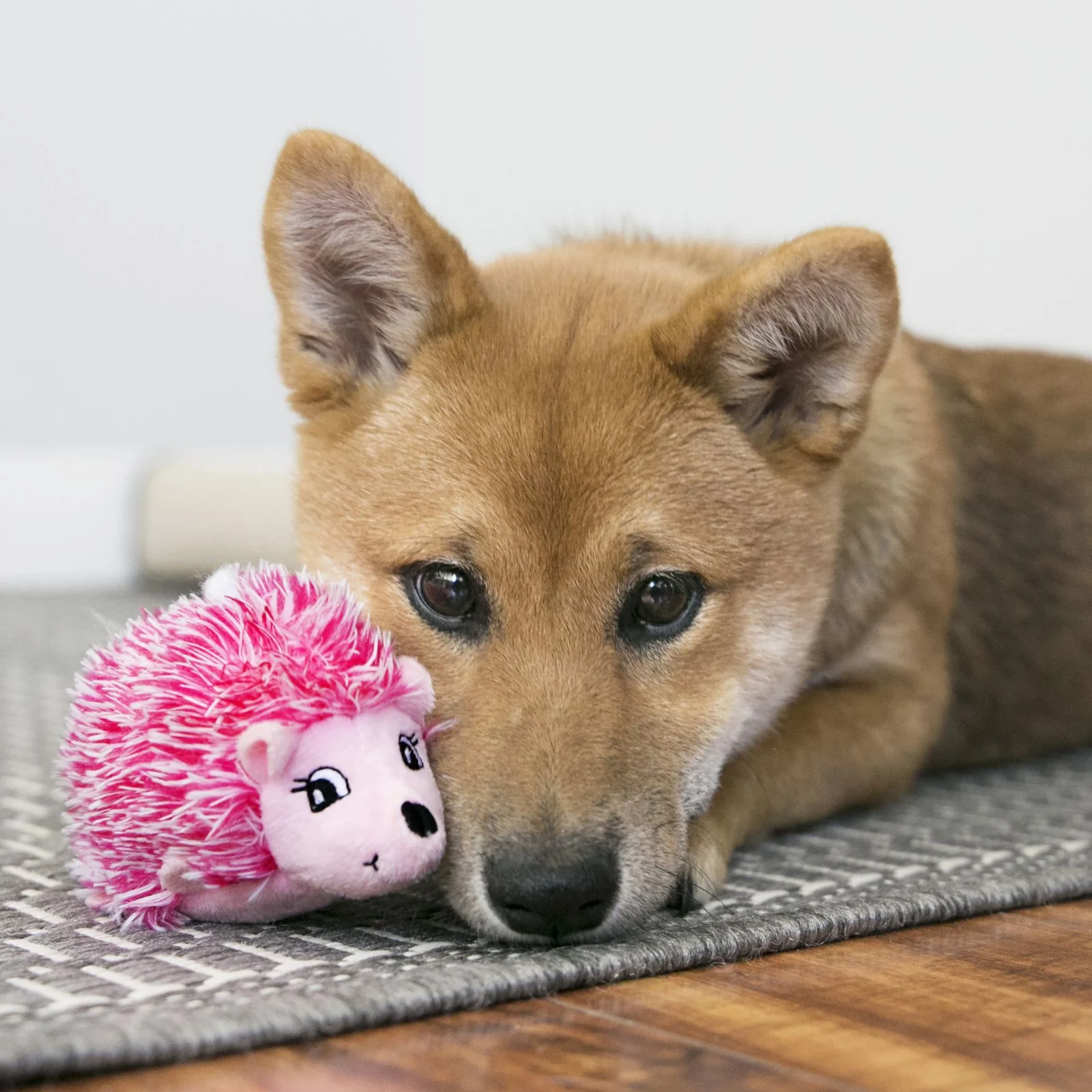 Kong Comfort HedgeHug Puppy Large - Image 3