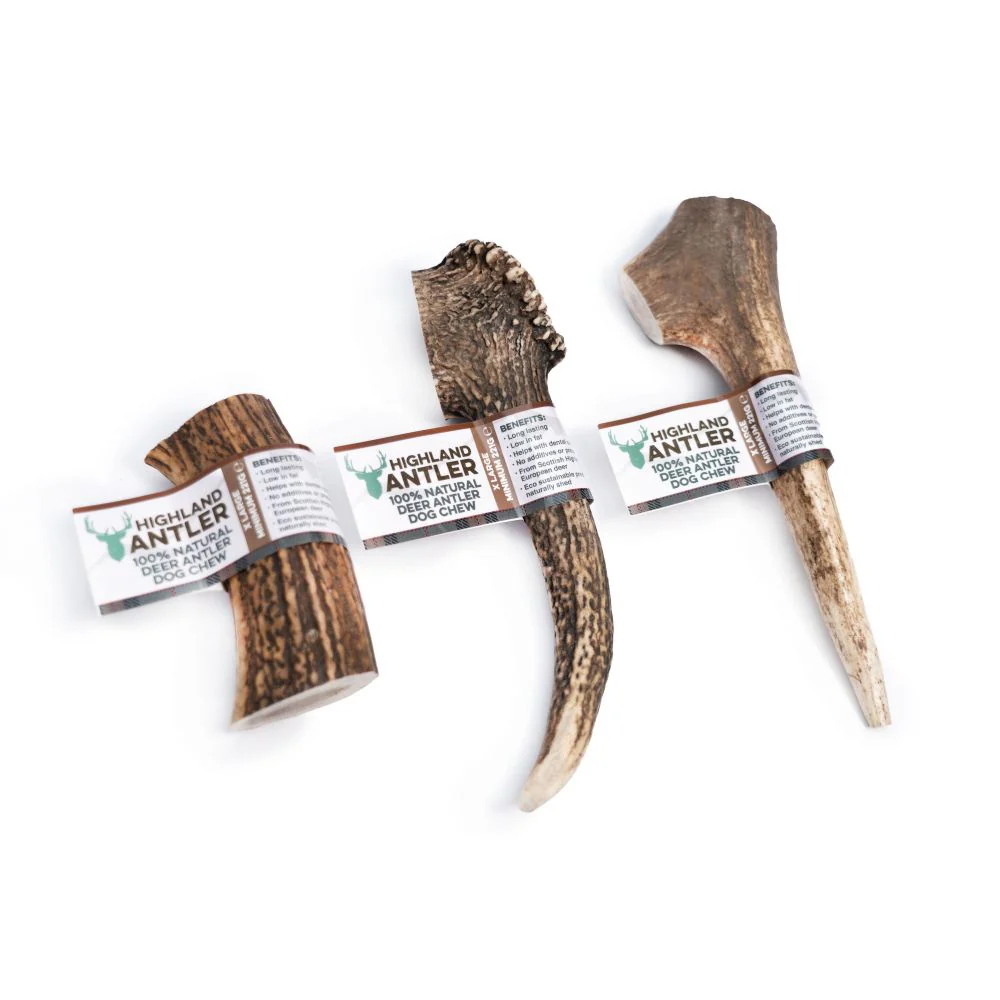 Antos Highland Antler Extra Large
