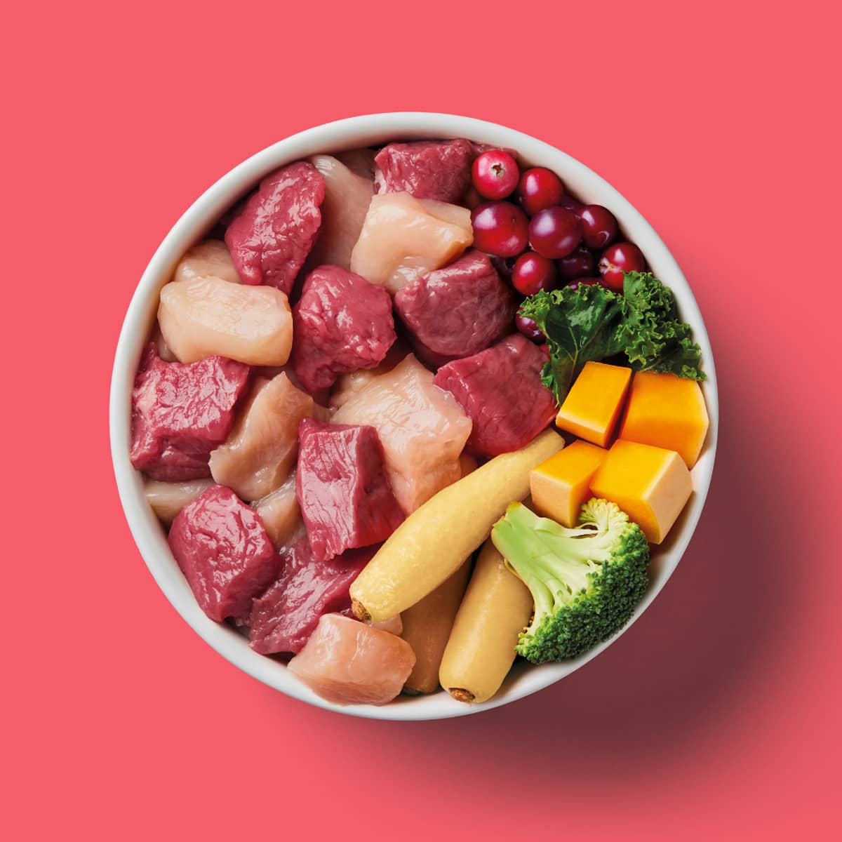 Nutriment Raw Venison & Turkey 500g - Image 2