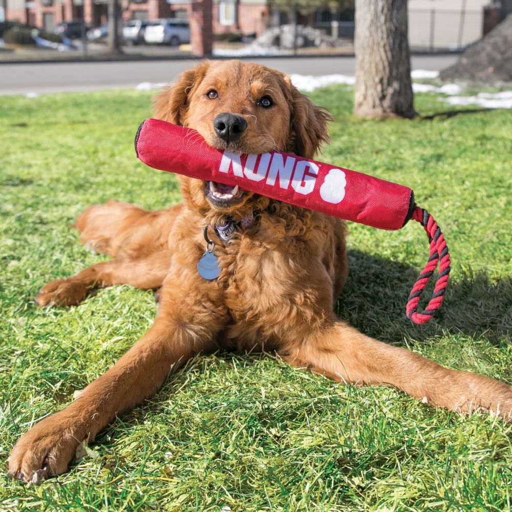 Kong Signature Stick with Rope - M - Image 2