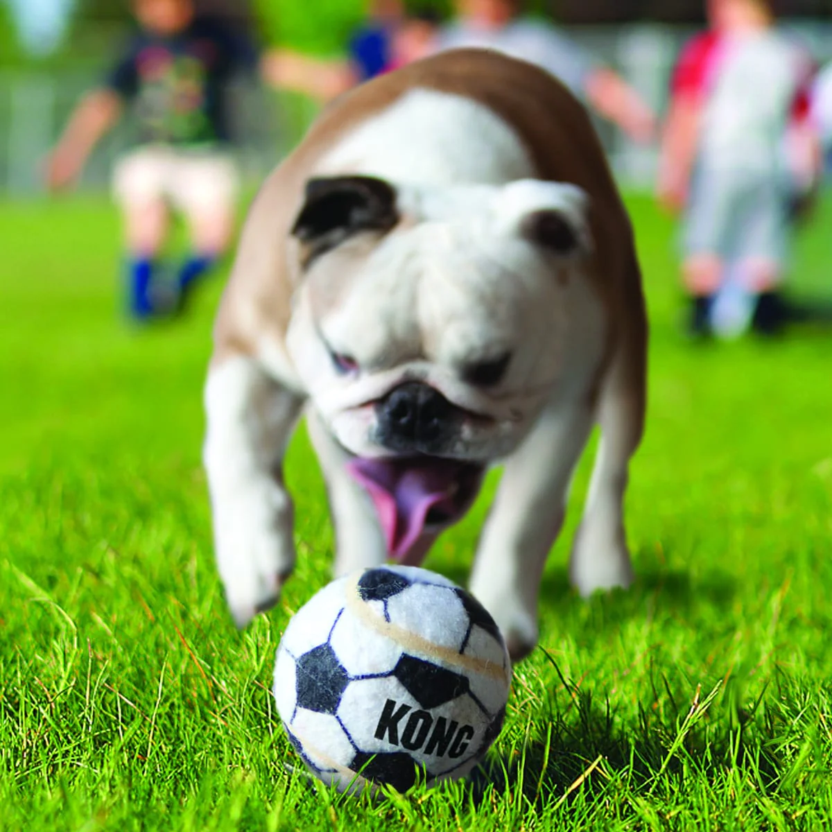 Kong Sports Ball 3 PK - Med - Image 2