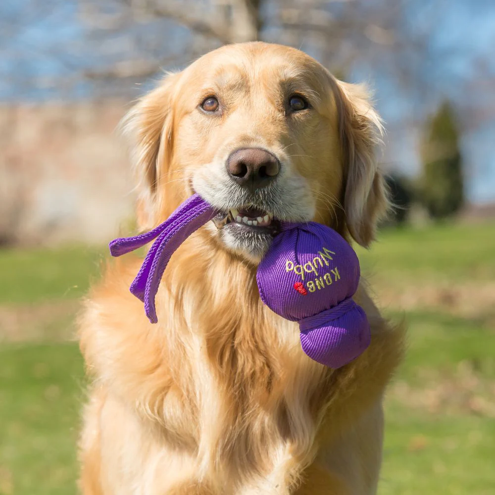 Kong Wubba™ - Large - Image 3